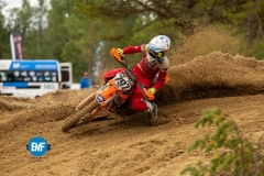 1S4A2591