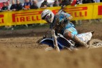 Tanel Leok Brasiilias 18-s tanel_leok800