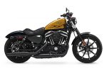 Tallinna mootorrattamessil loositakse efektne uus Harley-Davidson mootorratas 800-XL883N_hard_candy_gold_flake